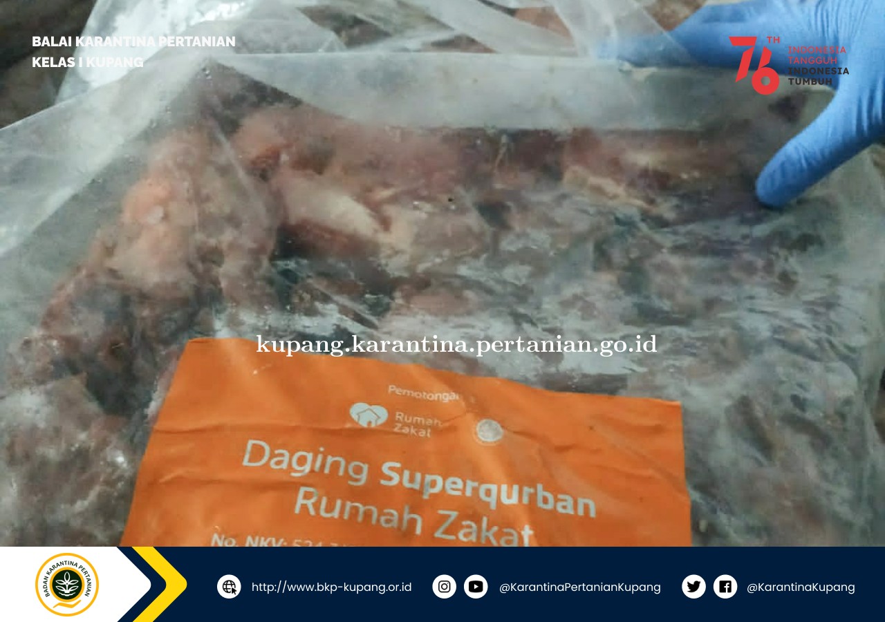 Puluhan Ton Daging Sapi Asal Kupang Siap Penuhi Kebutuhan Protein Surabaya