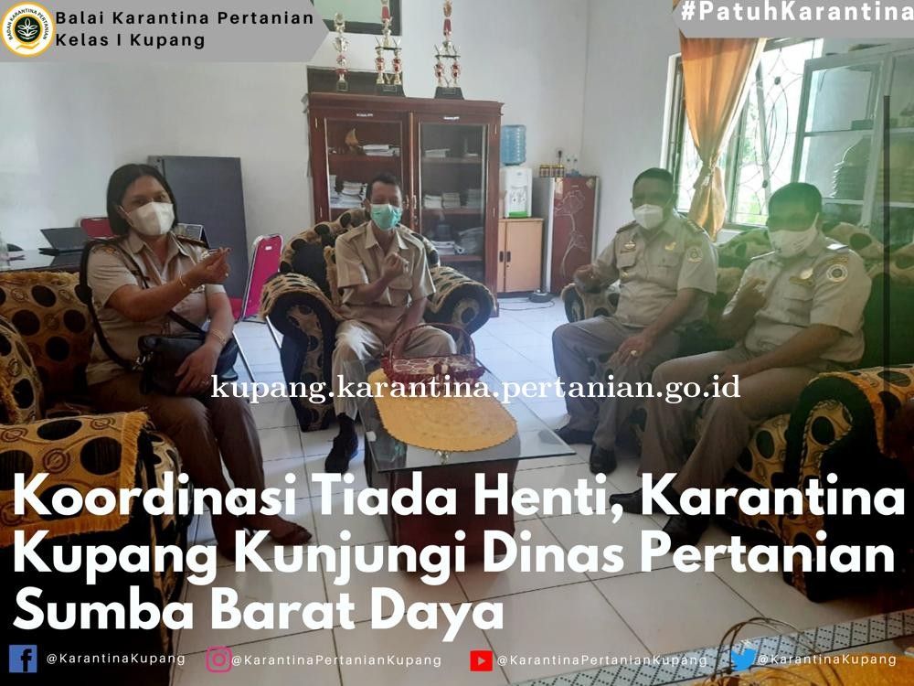 Koordinasi Tiada Henti, Karantina Pertanian Kupang kunjungi dinas pertanian SBD
